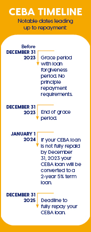 Ceba Timeline